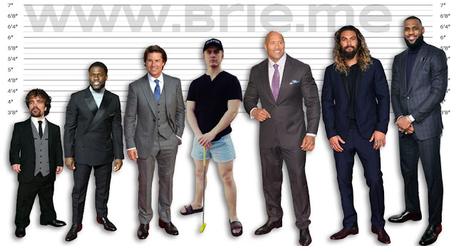 Peter Dinklage, Kevin Hart, Tom Cruise, Ludwig Ahgren, The Rock, Jason Momoa, and LeBron James height comparison