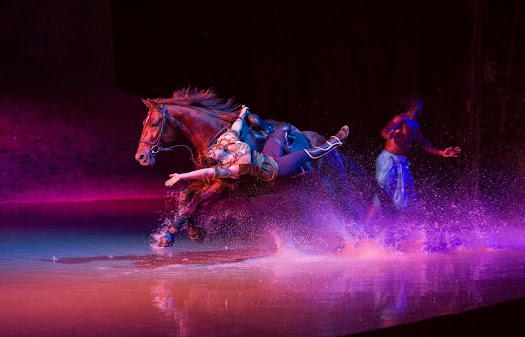 Cavalia Orange County