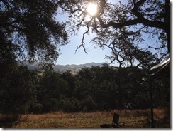 IMG_0767