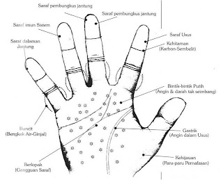 Deteksi Penyakit Dari Telapak Tangan, Kuku dan Jari