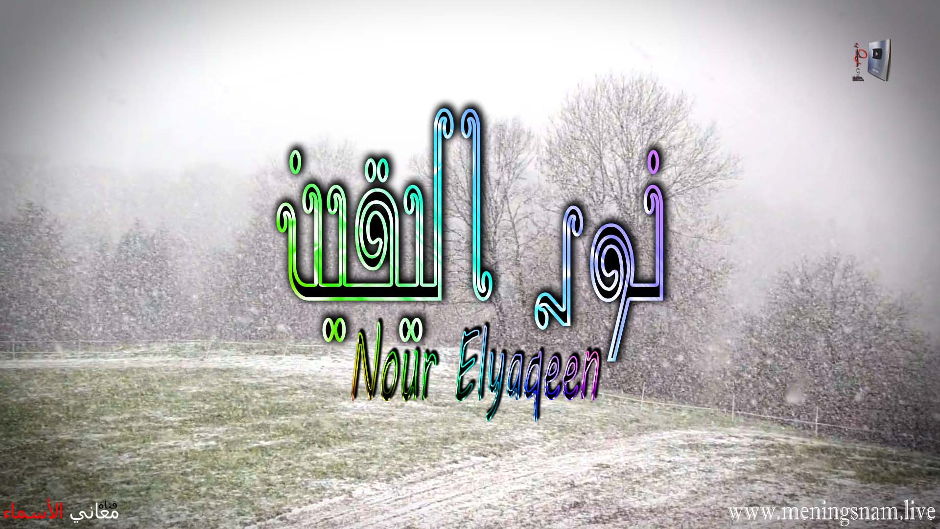 معنى اسم, نور, اليقين, وصفات, حاملة, هذا الاسم, Nour ,Elyaqeen,