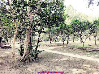 Green Park at Hauz Khash