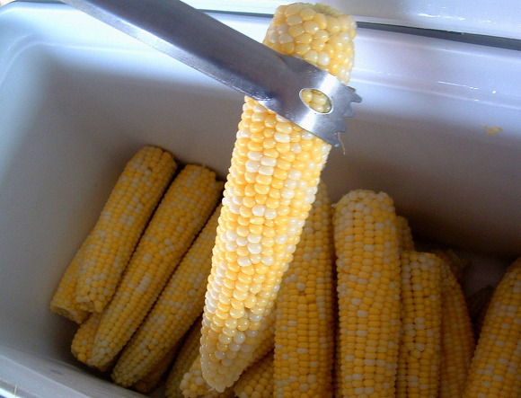 Corn