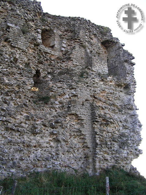 VAUDEMONT (54) - Donjon des comtes de Vaudémont