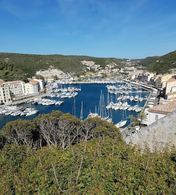 porto bonifacio