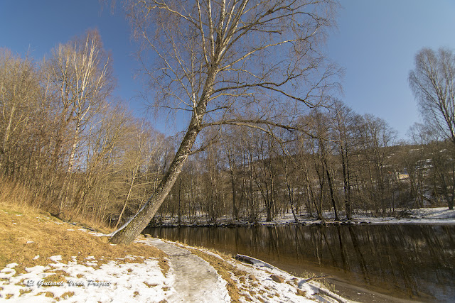 Sendero Akerselva en invierno - Oslo por El Guisante Verde Project