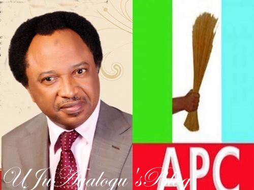 Constitution amendment: Senators voted not in the interest of Nigeria but to keep their mini thrones – Shehu Sani