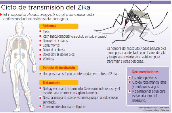 Armas contra el virus del Zika