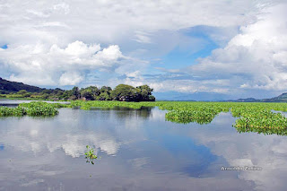 Nueva Acrópolis realiza Viaje Cultural a Suchitoto y lago de Suchitlán