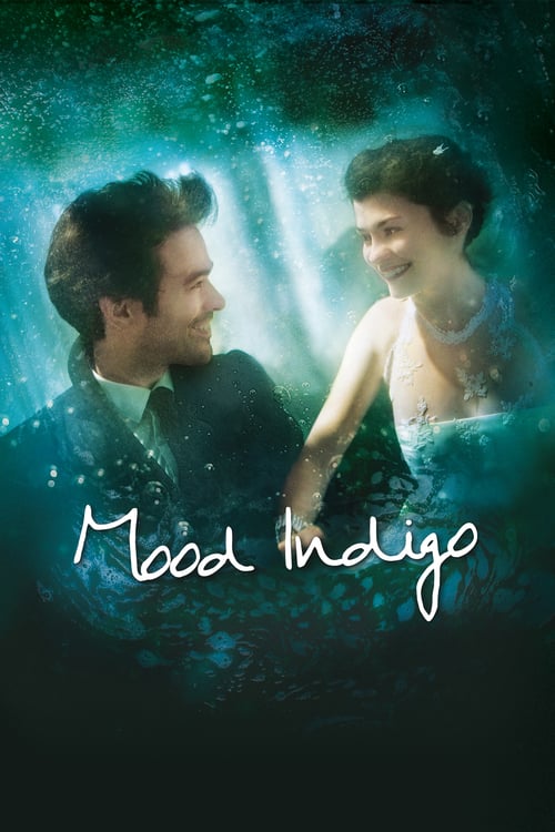 Mood Indigo - La schiuma dei giorni 2013 Film Completo Online Gratis