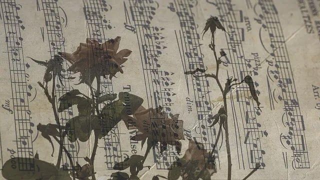 調性 嬰ニ短調の説明 D Sharp Minor 6