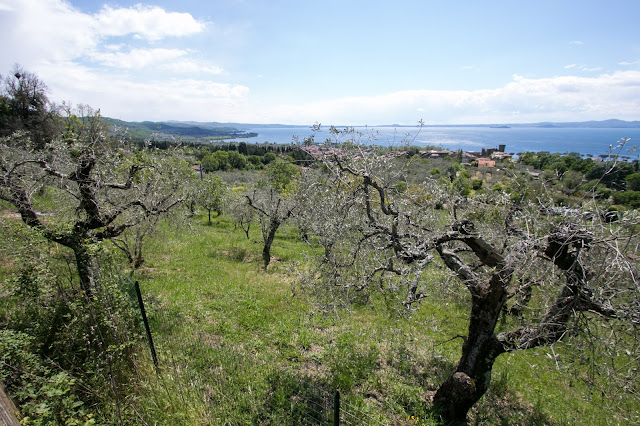 Lago di Bolsena