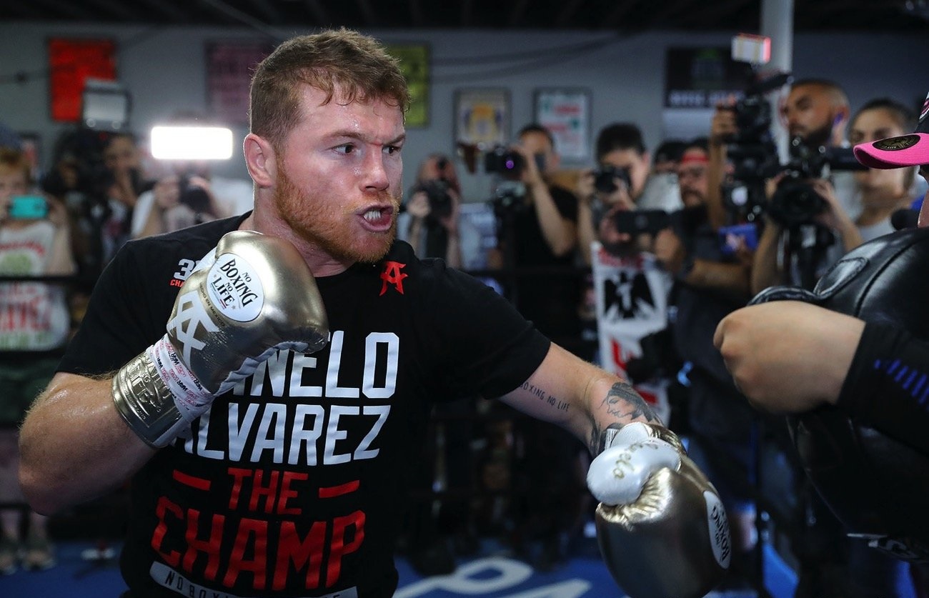 CANELO ALVAREZ MEDIA DAY PHOTOS & QUOTES ~ MandatoryDefense.com