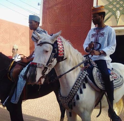 Photos: The Sanusi Princes go for horseback riding in Kano