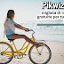 Pikwizard | migliaia di immagini gratuite per tutti i tuoi progetti