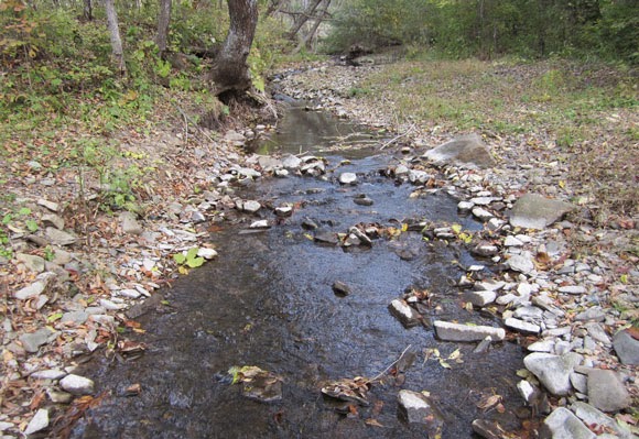 Small rocky creek