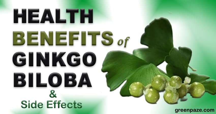 health benefits ginkgo biloba and side effects