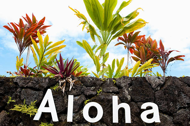 Maui renascerá das cinzas com o espírito aloha vindo do mundo