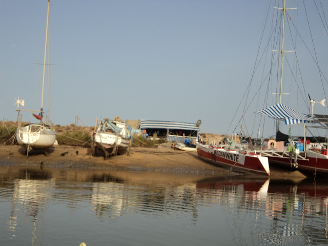 catamarans in Culatra