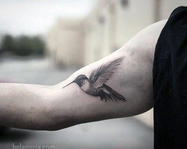 imagen del Tatuaje de un Colibrí