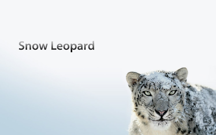 Hd Wallpapers Leopard. snow leopard wallpaper hd.