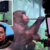 Elon Musk's startup Neuralink  shows monkey with chip implants playing video game