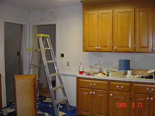 Pictures Of Renovated Kitchens