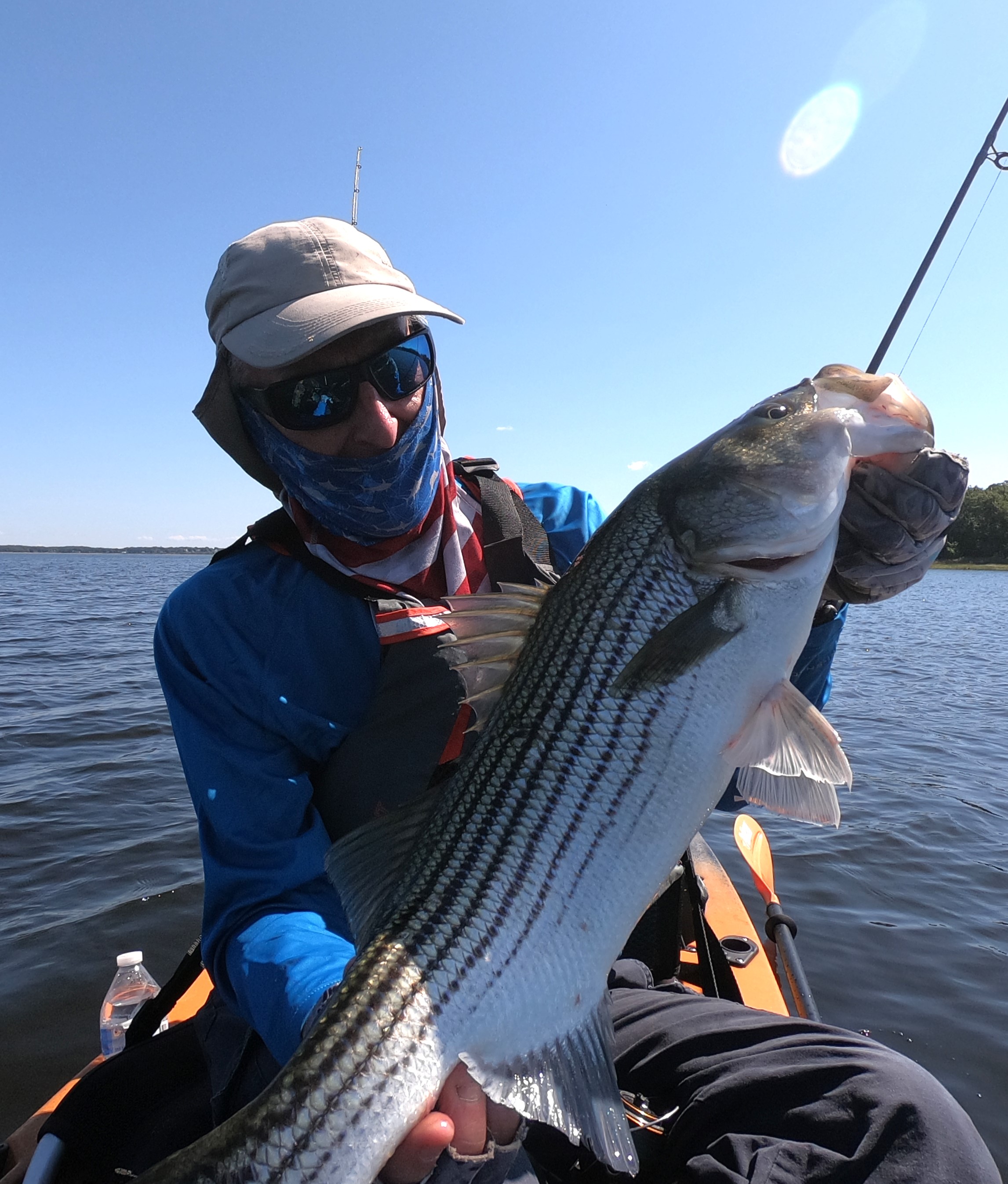 Rhode Island Striped Bass: Best Week of the Year