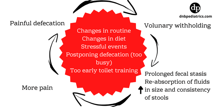 Pathogenesis of functional constipation