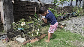 kegiatan-menyiram-bunga-anak-balita-di-rumah-selama-WFH-libur-sekolah