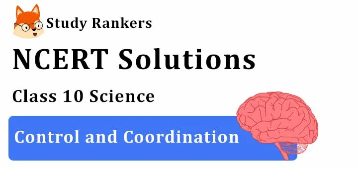 NCERT Solutions for Class 10 Science Chapter 7 Control and Coordination