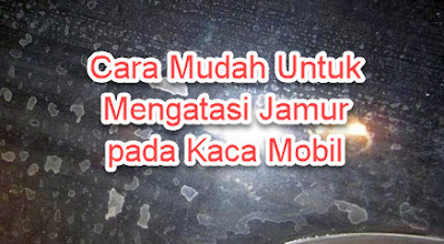 Cara Mudah Untuk Mengatasi Jamur pada Kaca Mobil