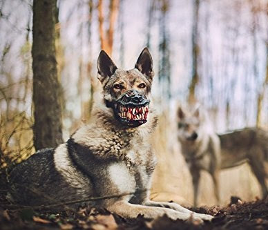 Werewolf Muzzle For Dogs, Turns Man's Best Friend Into The Scariest Supernatural Beast