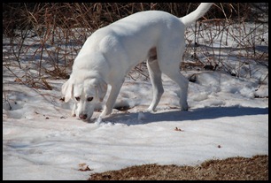 snow boy 2011