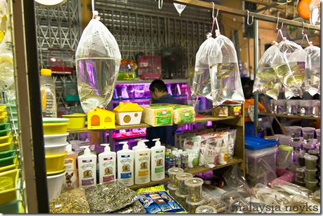Satok market, kuching 30