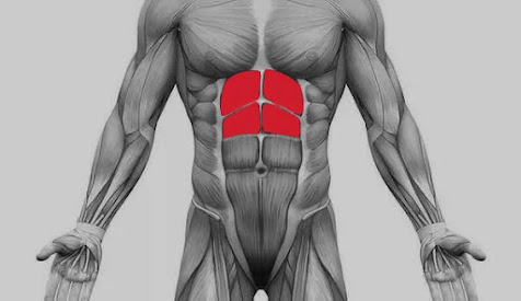 crunches is best for upper abs muscles