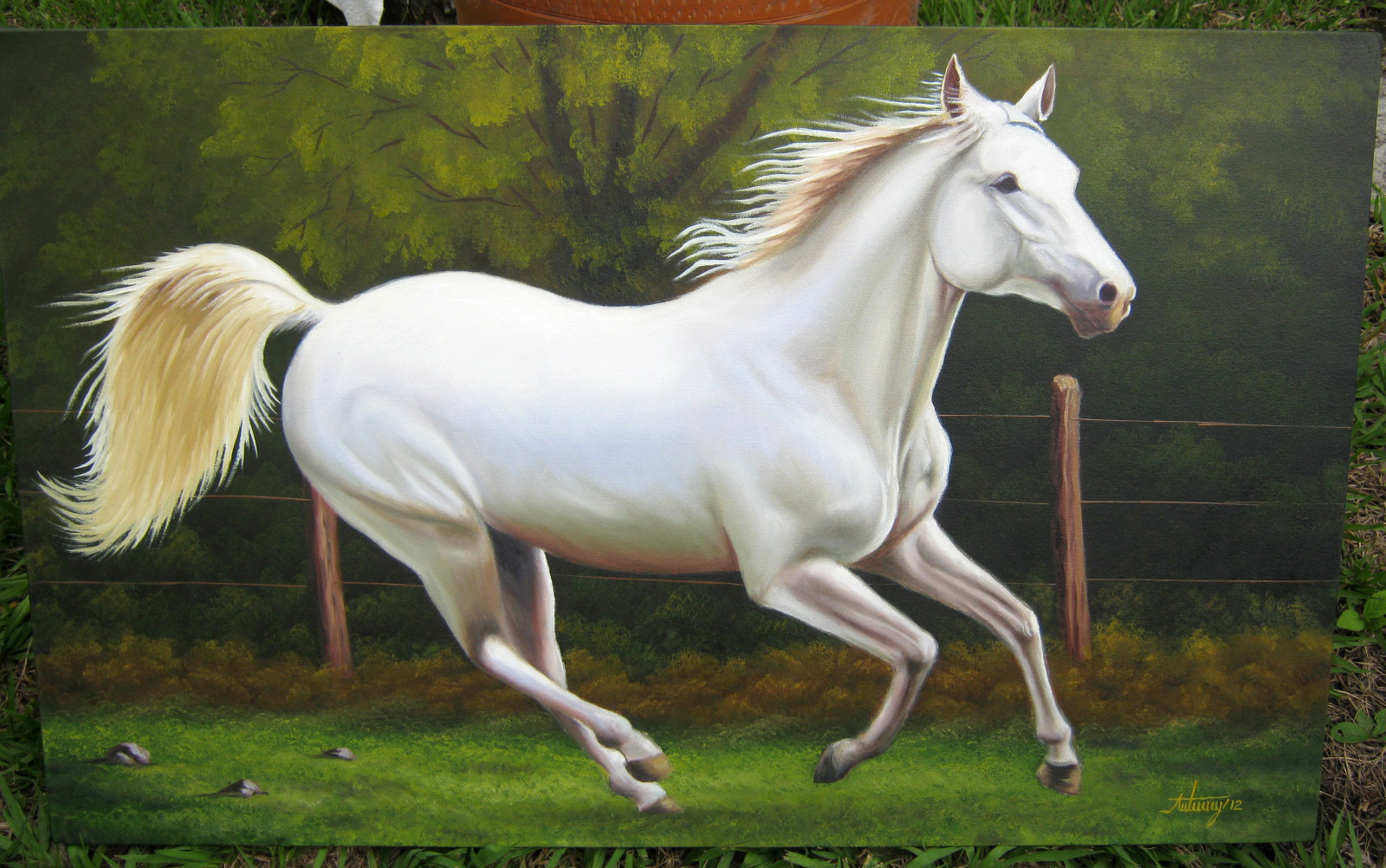 Caballo blanco corriendo