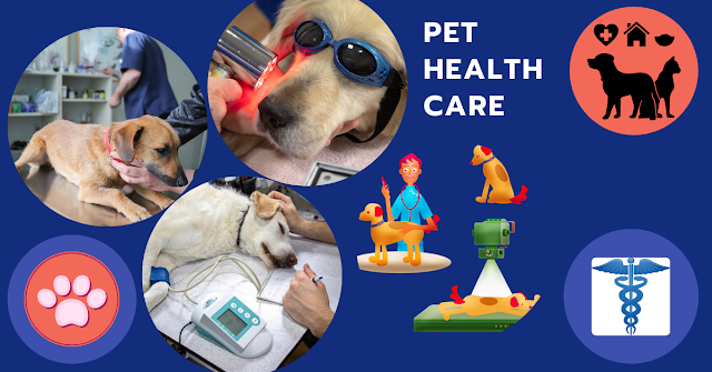 PET HEALTH CARE