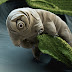 หมีน้ำ (Water Bear)