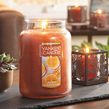 http://www.yankeecandle.com/statics/images/email/090816_All/coupon_B.html