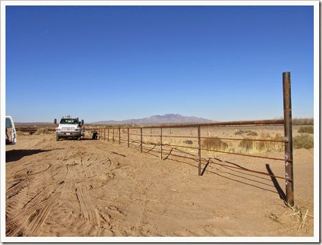 IMG_0855 IMG_0855