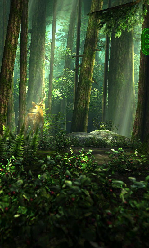 Download Wallpaper Forest