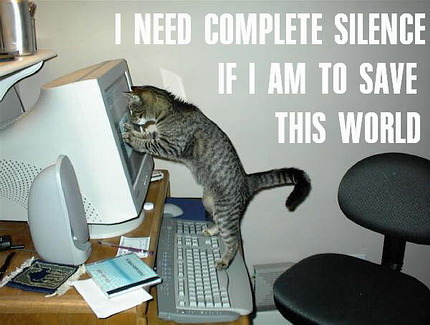 funny_cat_pictures_pc_a.jpg