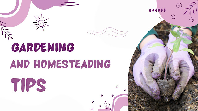 Gardening and homesteading