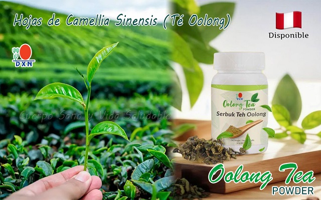 Polvo del Té Camellia Sinensis