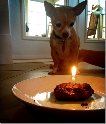tuckers birthday 6