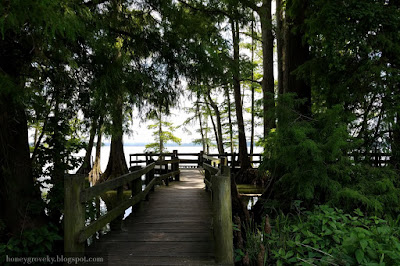 Boardwalk at Reelfoot Lake