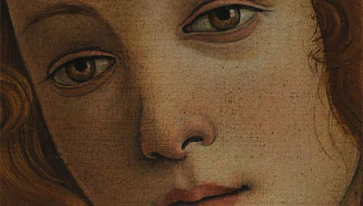 Venus by Boticelli on alarconnelson by Nelson Alarcon