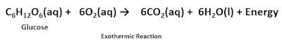 Exothermic Reaction Example Class 10 CBSE HUB ONLINE Class 10- NCERT Notes Chapter 1