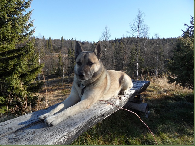 15.10.Stølen 001